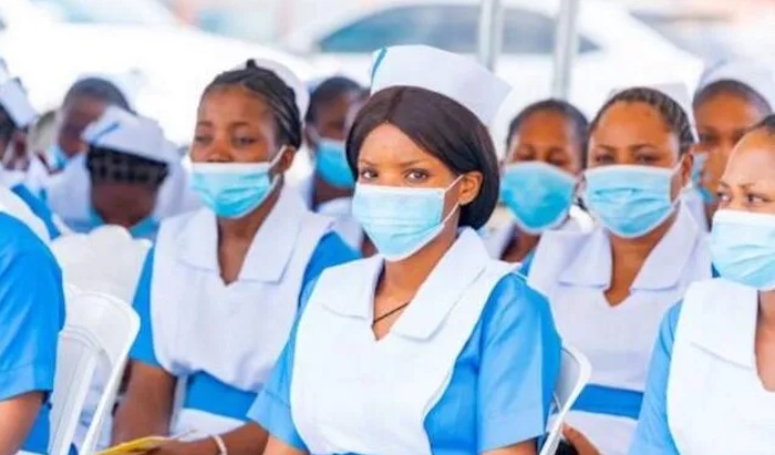 Federal Government says Nigeria needs N4.55 billion to plug critical staffing gaps in primary health...