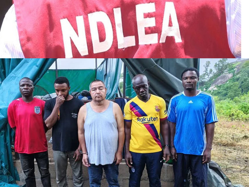 NDLEA dismantles forest meth lab in Oyo, arrests Mexican suspect and four Nigerians, seizes industri...