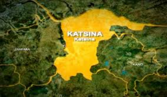 The Police Command in Katsina State has foiled separate kidnapping and cattle rustling attempts in F...