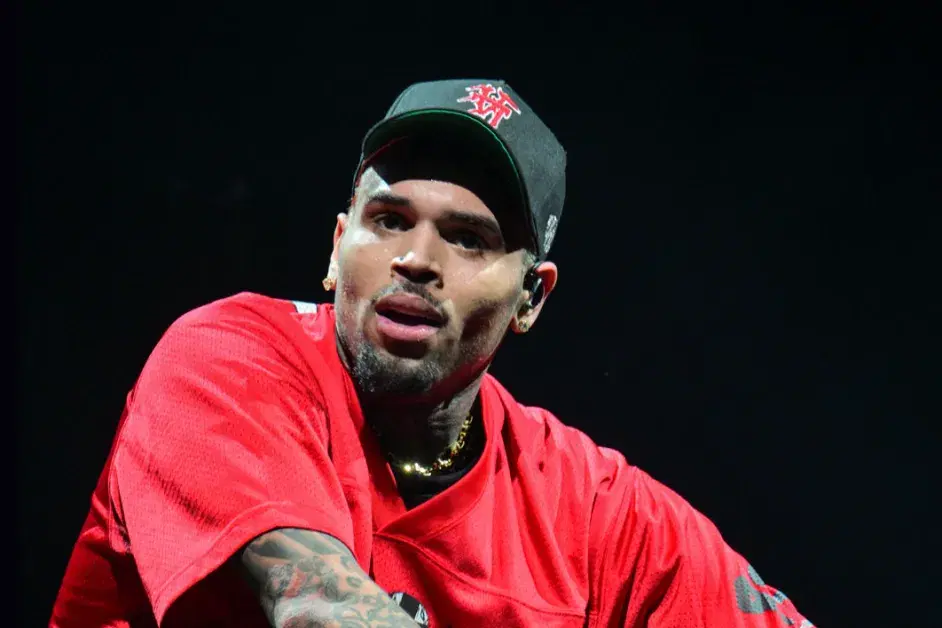 American R&B singer Chris Brown on Friday pleaded guilty to a public order offence following an alle...
