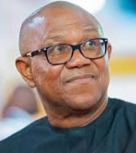 By Ayobami Okerinde
The presidential candidate of the Nigeria Democratic Congress (NDC), Peter Obi,...