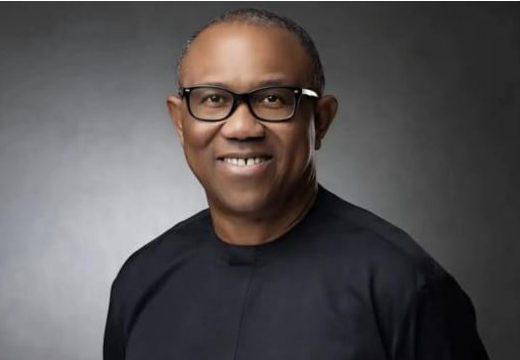 An Anambra State High Court sitting in the Onitsha Judicial Division has granted the presidential ca...