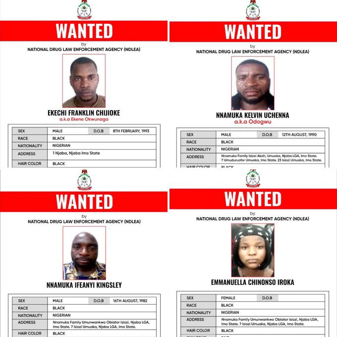 The National Drug Law Enforcement Agency (NDLEA) intensified its battle against drug trafficking on...