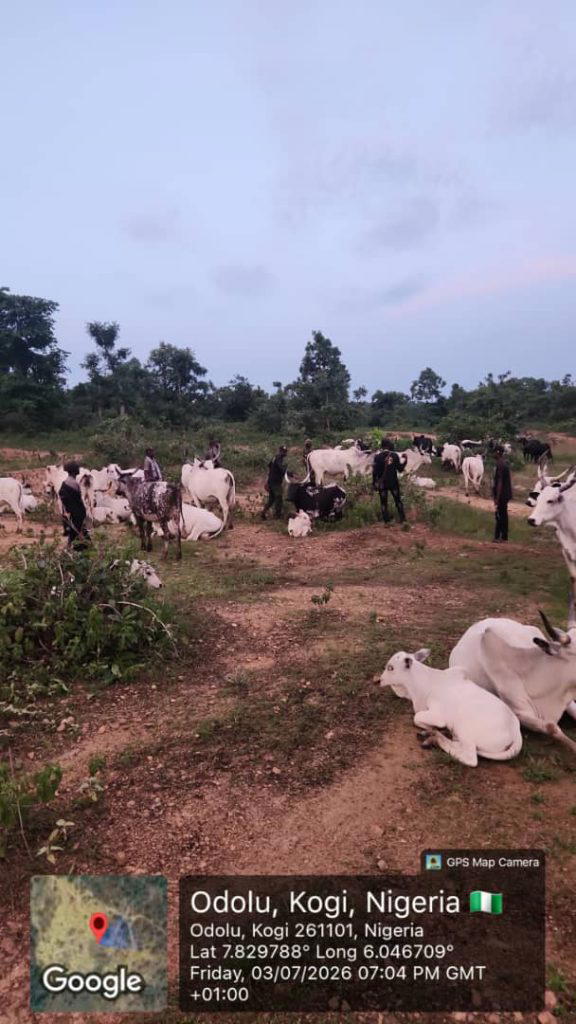 By Soni Daniel
Kogi State Government, in collaboration with federal and local security forces, has...