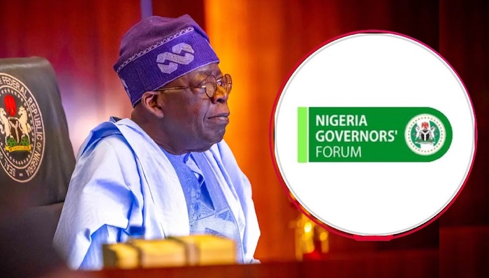 Governors endorse Army expansion as security experts call for intelligence-led operations, better fu...