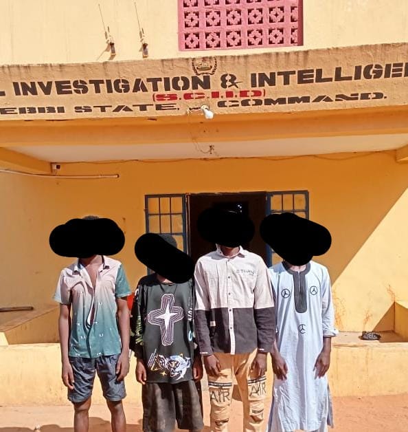 By Haruna Aliyu
BIRNIN KEBBI — The Kebbi State Police Command has arrested four suspects for allege...