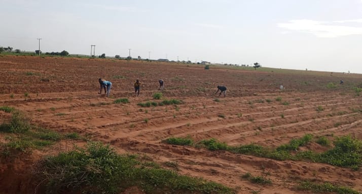 By Maryam Abdulaziz Usman
Delayed rainfall in Yobe State has disrupted farming activities, leaving...
