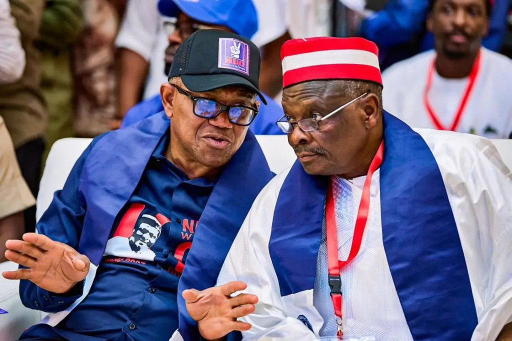The vice presidential candidate of the National Democratic Congress (NDC), Rabiu Kwankwaso, has dism...