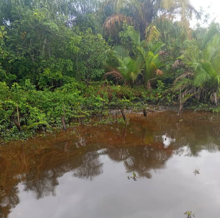 By Samuel Oyadongha
AZUZUAMA – When the first reports of an oil spill reached this riverside town i...