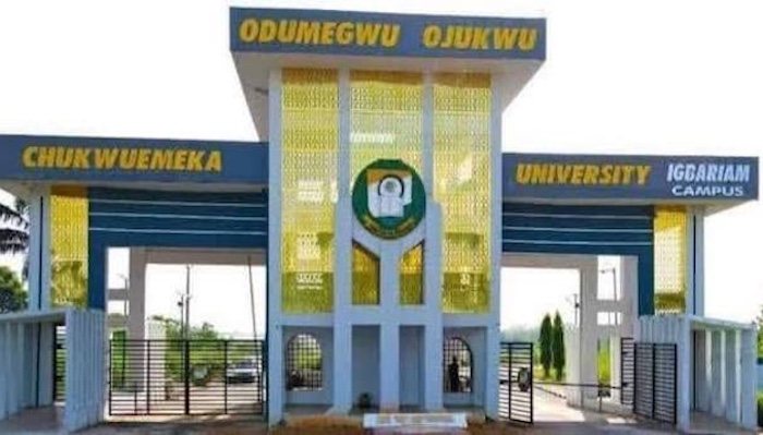 Chukwuemeka Odumegwu Ojukwu University Vice Chancellor Kate Omenugha defends the dismissal of five l...