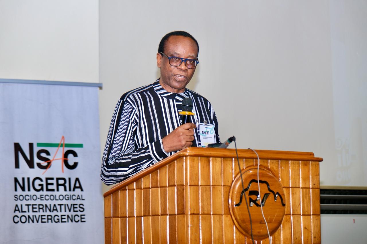 Experts warn Nigeria’s solid minerals sector needs urgent reform to avoid repeating the Niger Delta’...