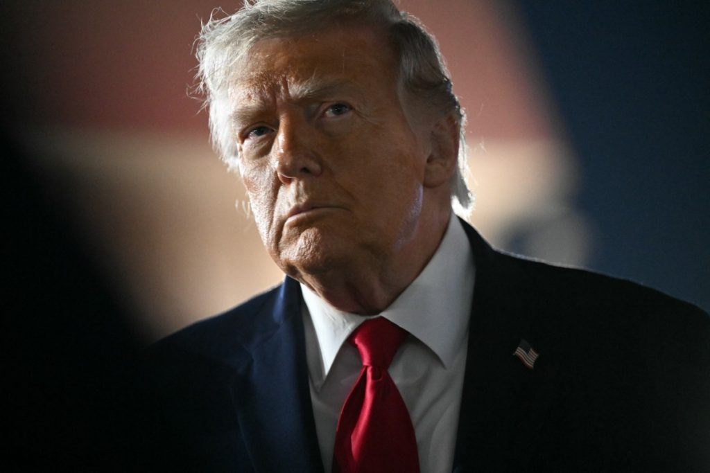 President Donald Trump fired on Thursday the last two federal election officials in charge of the ag...