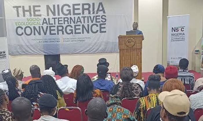 Environmental stakeholders warn escalating deforestation and illegal mining are fuelling insecurity,...