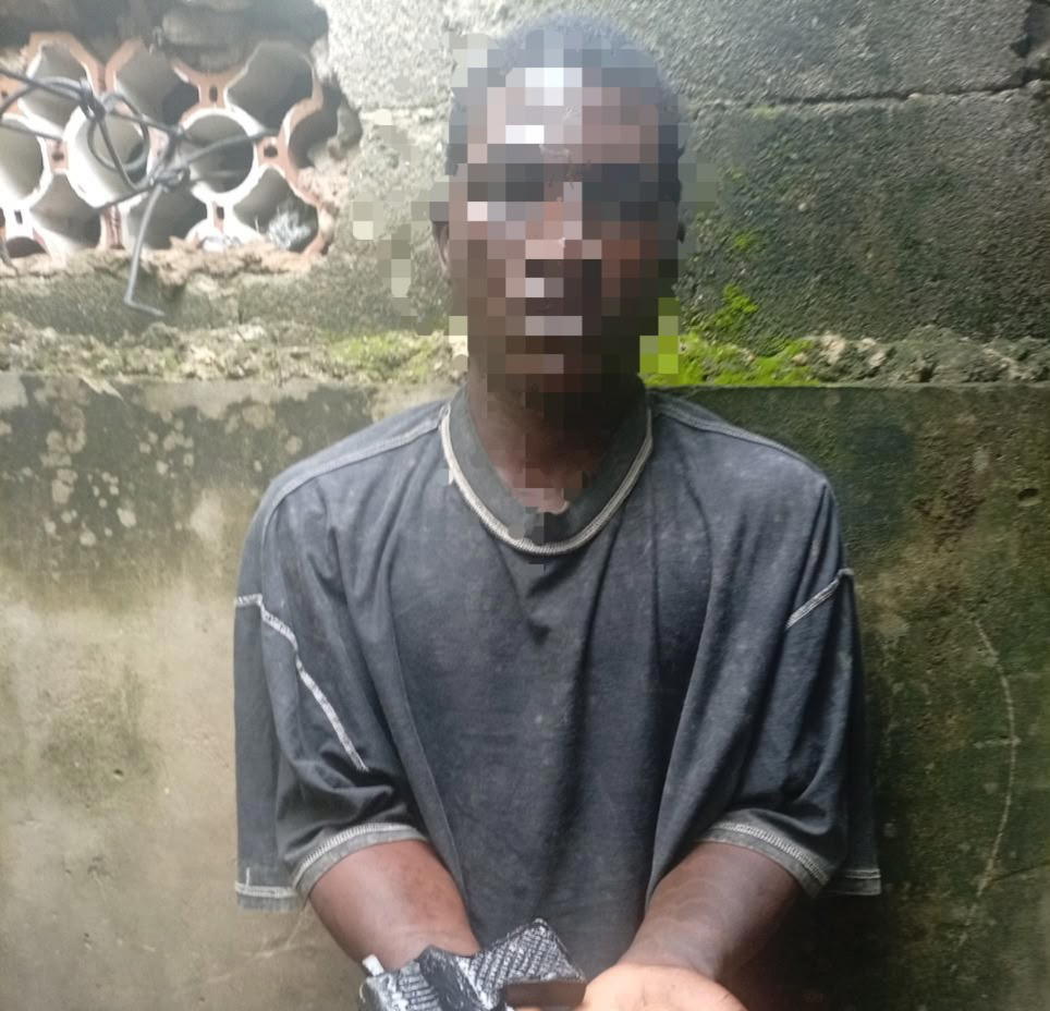 By Esther Onyegbula
Operatives of the Lagos State Police Command have arrested a suspected armed ro...