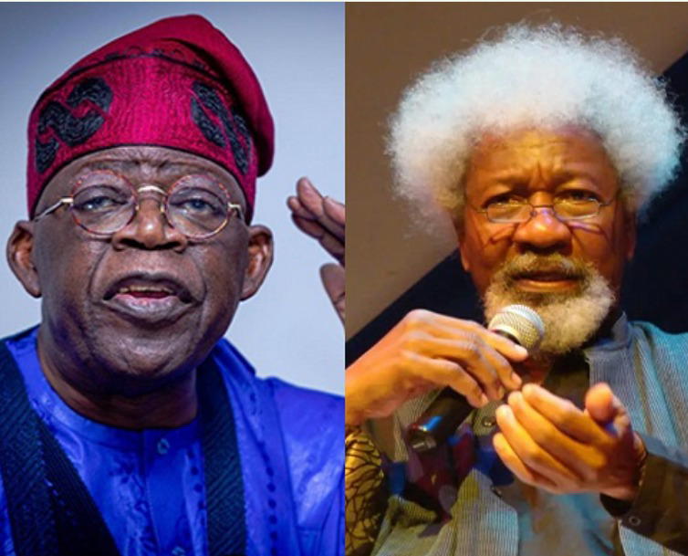 By Davies Iheamnachor
Nobel Laureate Professor Wole Soyinka has called on President Bola Tinubu to...