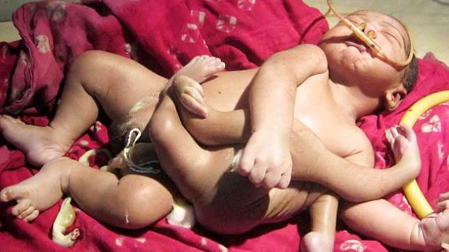 A popular Indian god, Brahma is commonly depicted as a man with four arms. India now has a human sym...