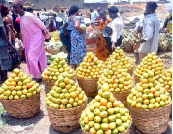 By Peter Duru, Makurdi

The Benue Investment and Property Company Limited (BIPC) has cautioned citru...