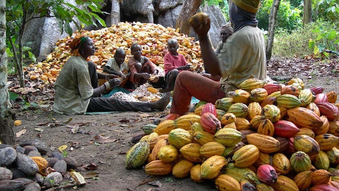 Chocolate makers embrace premium products and social media marketing as easing cocoa prices graduall...