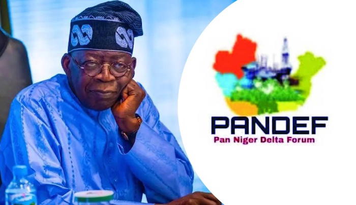 By Henry Umoru
THE Pan Niger Delta Forum (PANDEF), the apex socio-political body of the South-South...