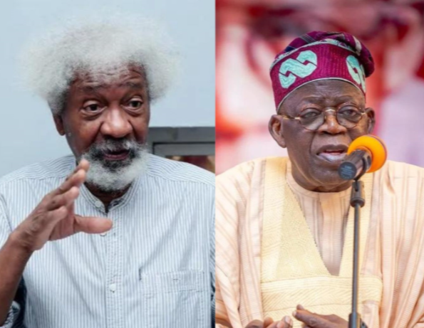 By Johnbosco Agbakwuru
PRESIDENT Bola Tinubu has congratulated the Nobel laureate and literary icon...