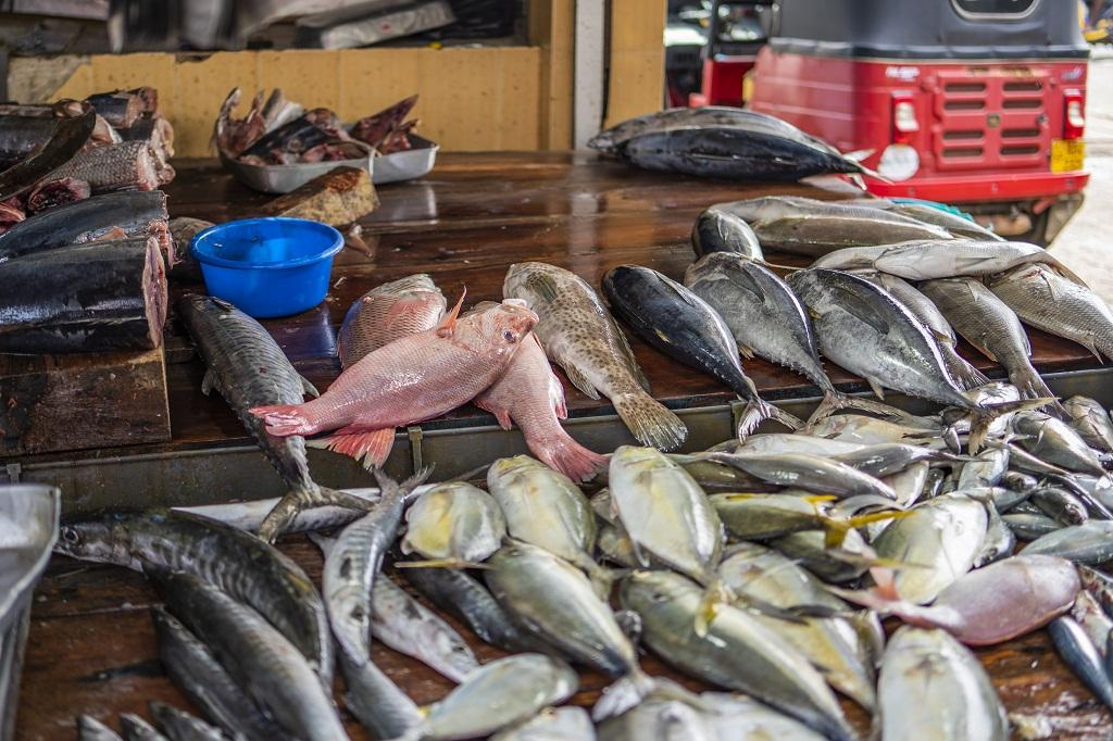 By EfeOnodjae
Nigeria is undermining its drive for food security, job creation and foreign exchange...