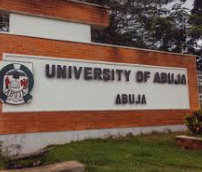 By Joseph Erunke, Abuja
The Governing Council of the University of Abuja, now Yakubu Gowon Universi...