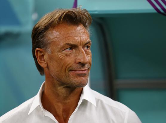 Herve Renard, who took over from Sabri Lamouchi as Tunisia coach in the middle of the World Cup, ann...