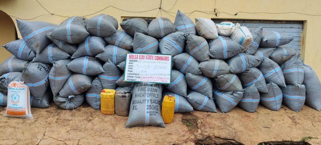 By Ozioruva Aliu
BENIN CITY – THE Edo State Command of the National Drug Law Enforcement Agency (ND...