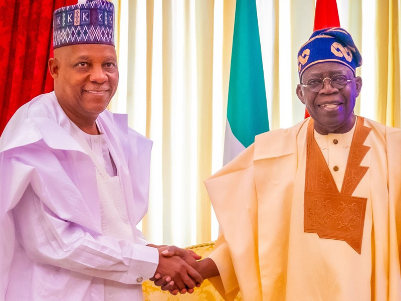 North-East leaders pledged massive grassroots mobilisation for Tinubu after endorsing his decision t...