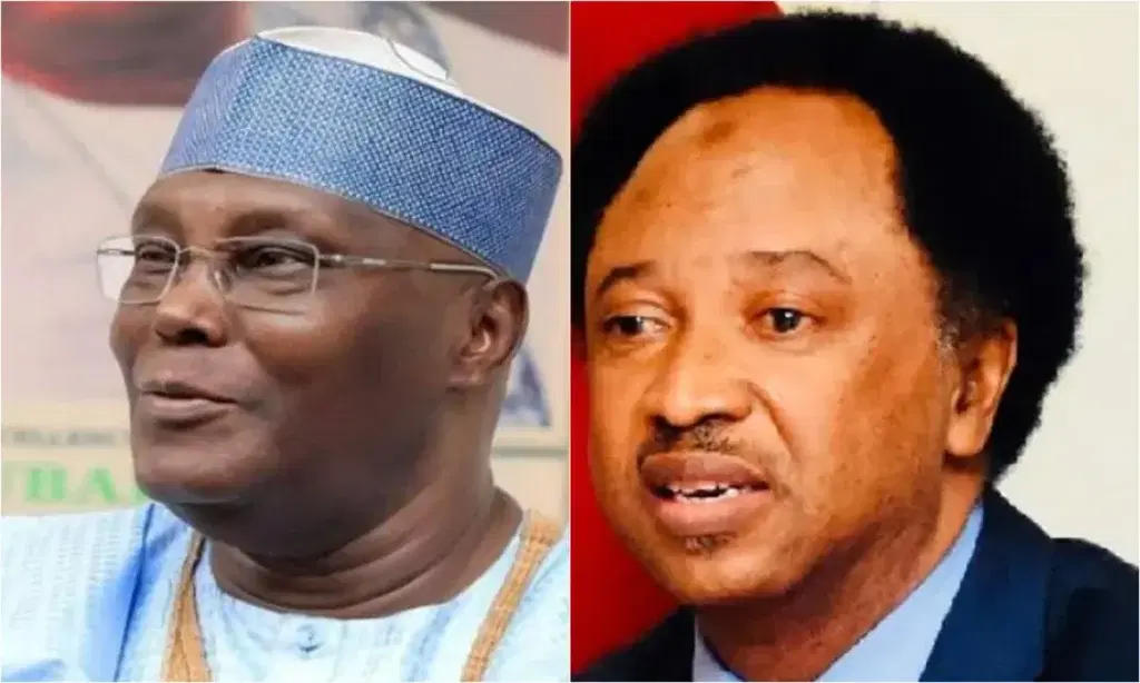 A disagreement ensued between former Kaduna Central senator Shehu Sani and Paul Ibe, media adviser t...