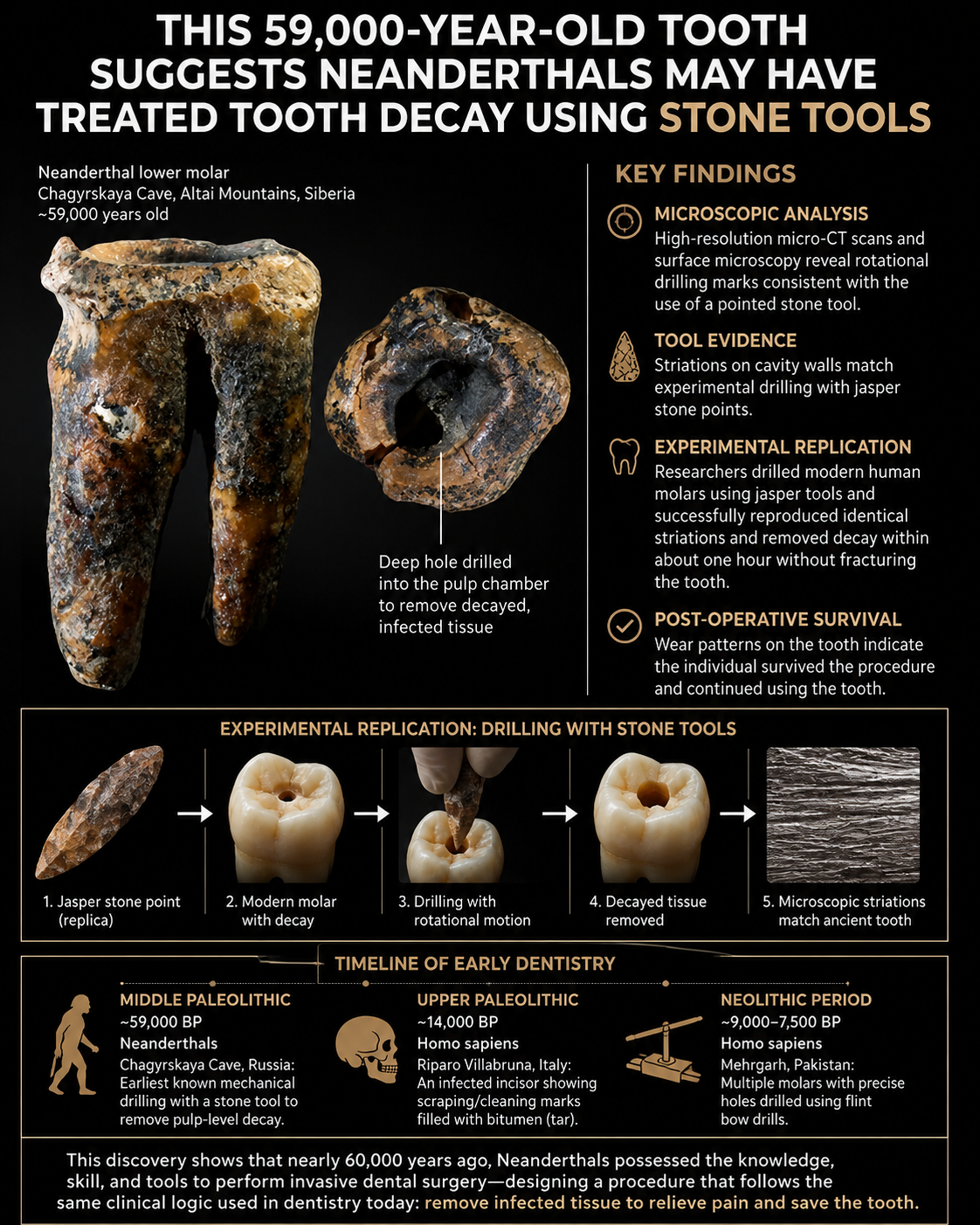 Language : EnglishTopics: ExtractionA landmark study published in PLOS ONE provides the earliest kno...