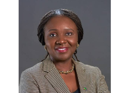 By YINKA ADETUTU
About six months after assuming office as Chief Executive of the Nigerian Upstream...