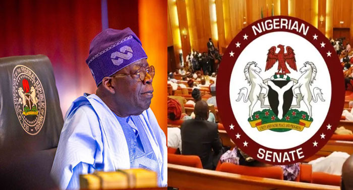 Senate urges Tinubu to end Boko Haram reintegration, prosecute terrorists and strengthen security am...