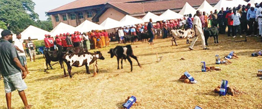 …Nwifuru, stakeholders stress need for peace, unity, urge sustainable culture
By Jeff Agbodo
On Jun...
