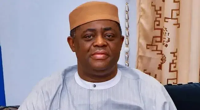 Former Minister of Aviation, Femi Fani-Kayode, has condemned the alleged killing of a Nigerian natio...