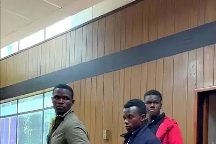 Three brothers have been charged with murder in Eswatini after allegedly beating their mother’s boyf...