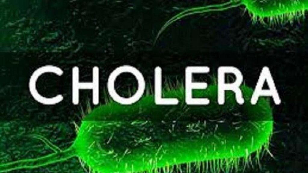 By Chioma Obinna
Cholera spreads through contaminated water and food and can cause sudden watery di...