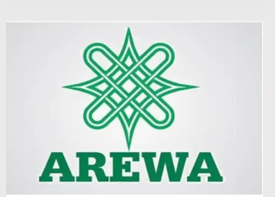 The Arewa Professional Forum (APF) has urged the Federal Government to accelerate the adoption of di...