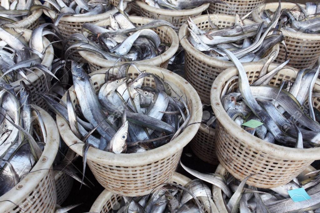 By Elizabeth Adegbesan

Driven by economic hardship and the soaring costs of cold-storage preservati...