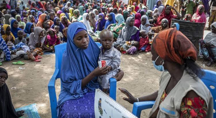 Nigeria Must Close IDP Camps in 2 years, Build New Communities to Rescue Lost Generation — PeacePro...