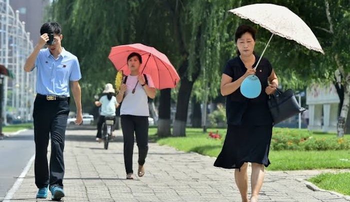 South Korea declares record heatwave a national disaster as soaring temperatures claim 19 lives and...