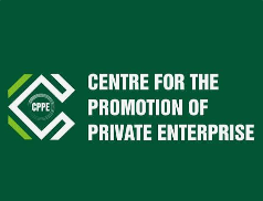 By Yinka Kolawole
The Centre for the Promotion of Private Enterprise (CPPE) has called for a compre...
