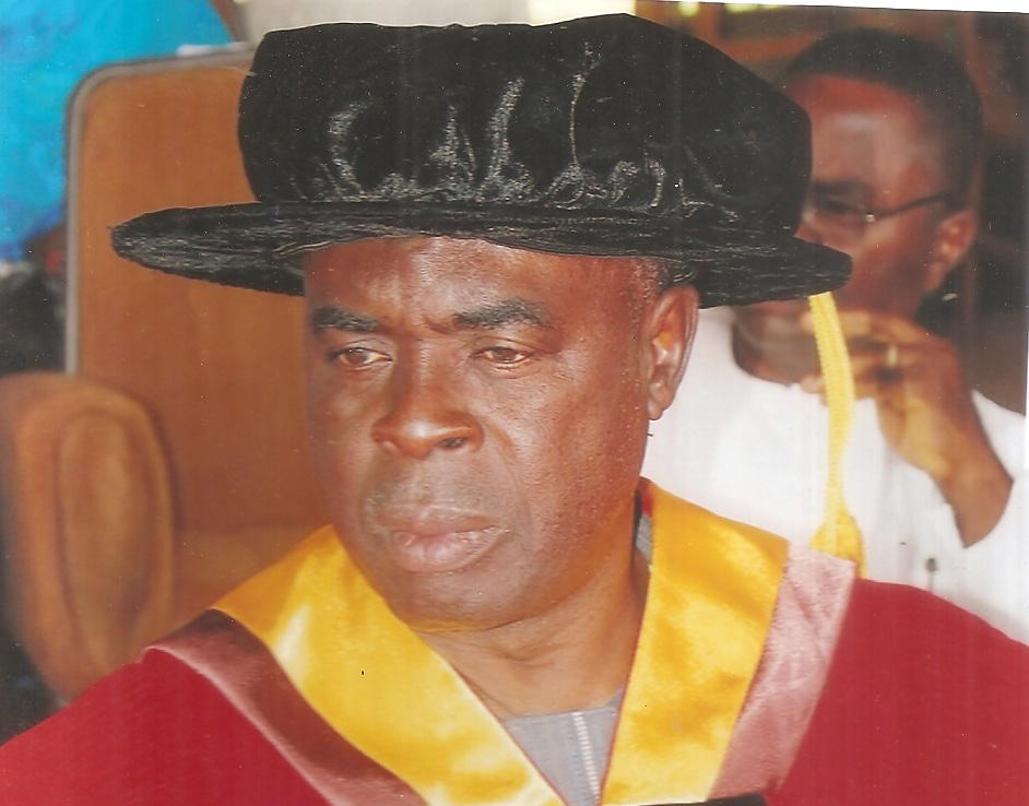 By Alumona Ukwueze
NSUKKA — The National Chairman of the South East Movement for Tinubu 2027, Prof....