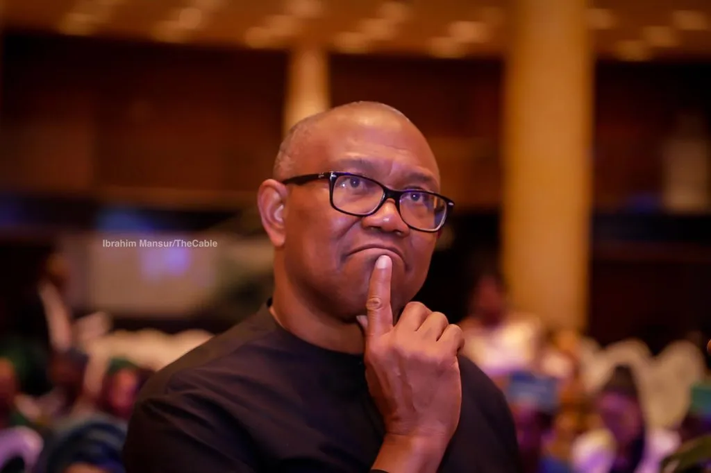 Former Anambra State governor and 2027 presidential candidate Peter Obi has criticised the Federal G...