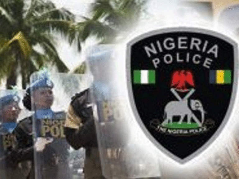 Linus Aleke in Abuja The Nigeria Police Force (NPF) has announced plans to unveil its proposed N10 m...