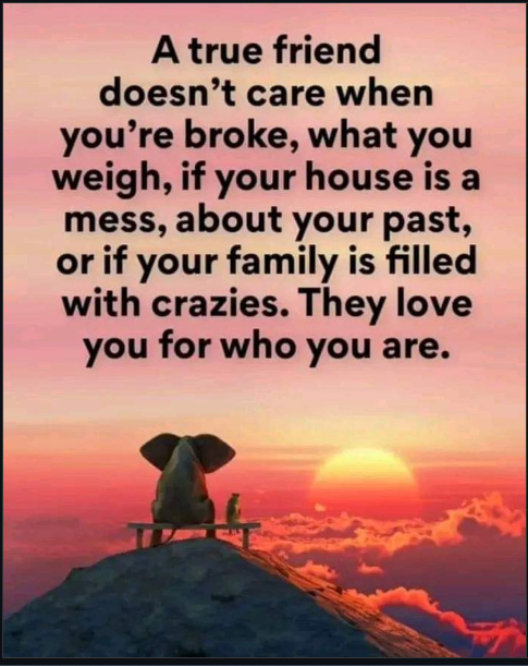 Brilliant morning, enjoy Friday, and celebrate friends, good friends