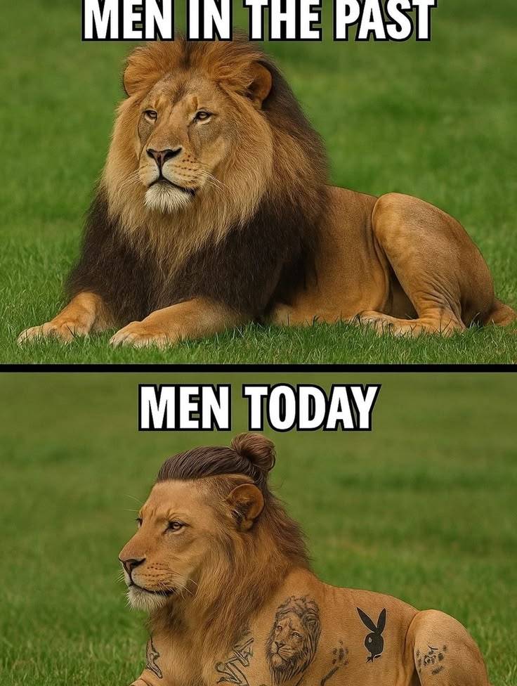 Happy Sunday my people. I saw this online and I really couldn't help laughing. No offence my dear me...