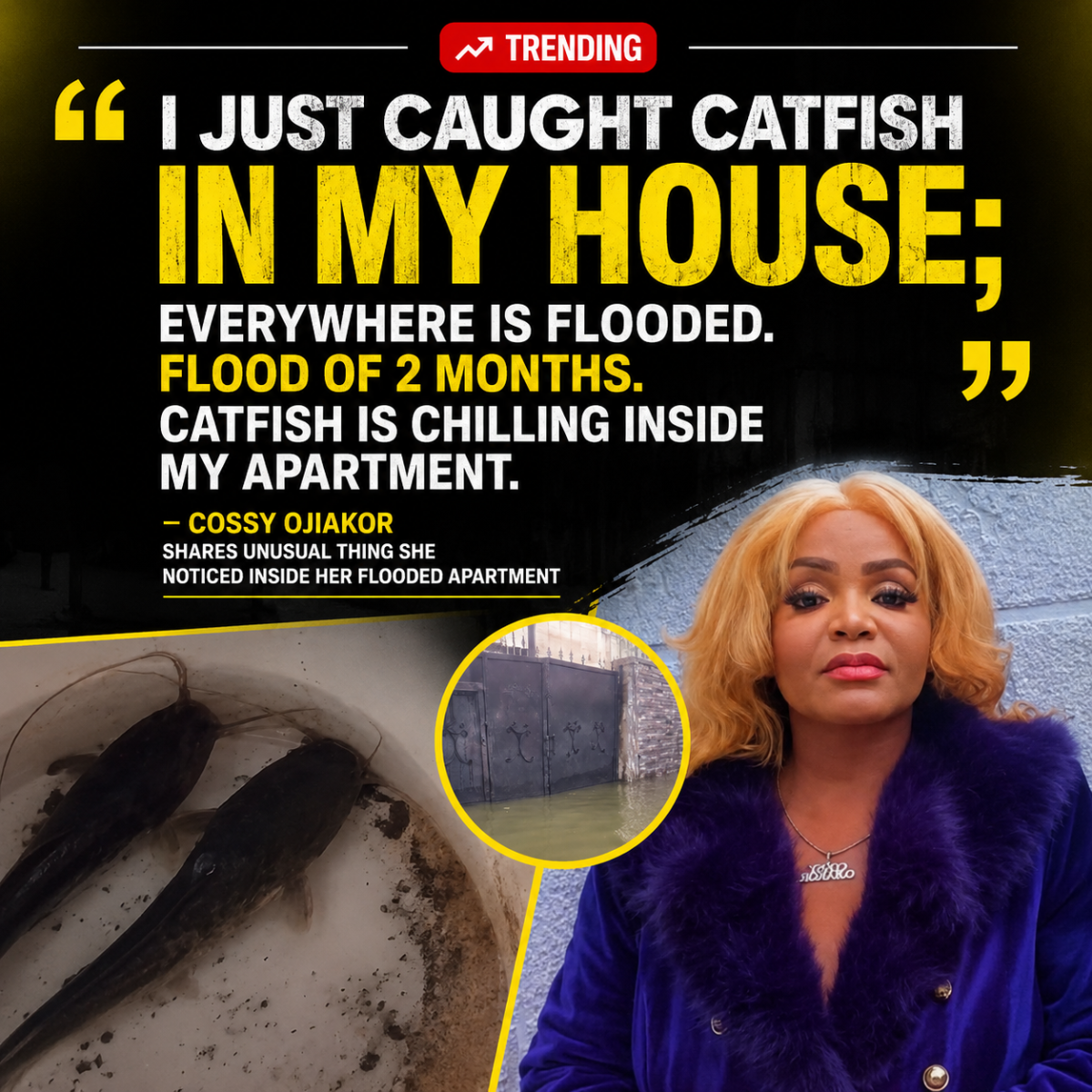 Aftermath of the Lekki flood at actress Cossy Ojiakor's house.
Enough fish to throw a party. 😄
Who'...