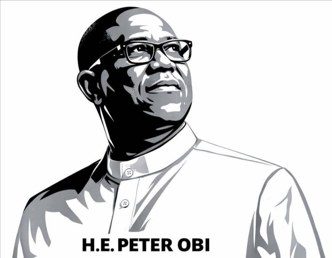 I’m an ardent supporter of Peter Obi, but after serious reflection, I hereby withdraw my support....