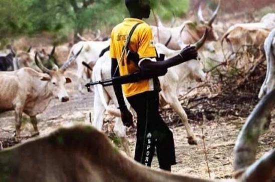 Four Killed in Benue Ambush.
Four people were reportedly killed in an ambush by suspected herders i...